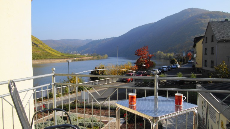Uitzicht - Hotel zum Moselstrand