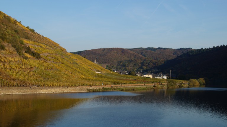 Omgeving - Hotel zum Moselstrand