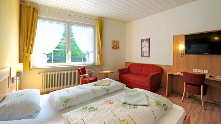 Hotelkamer - Hotel zum Moselstrand