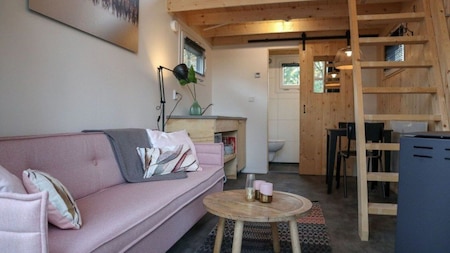 Wohnzimmer - EuroParcs der Hooge Veluwe