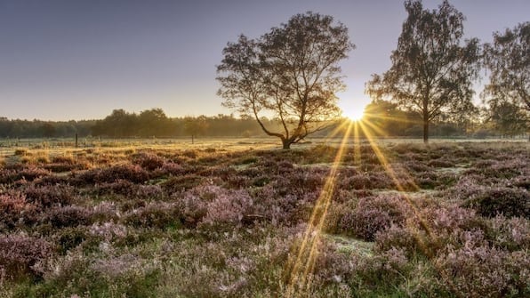 Umwelt - Landhotel Alberts Umwelt - Landhotel Alberts