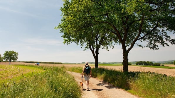 Wandelen - Hotel Hof van s Gravenmoer