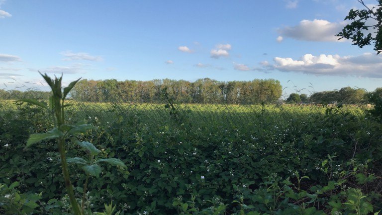 Omgeving - Bed and Breakfast In de Hei