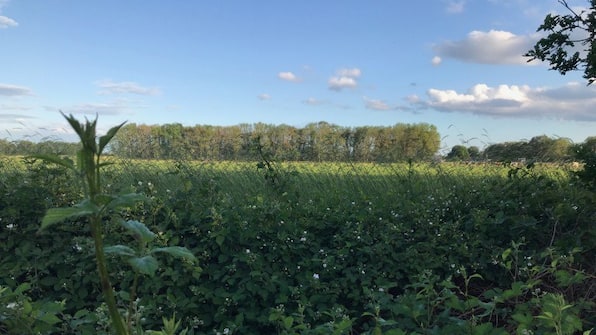 Umwelt - Bed and Breakfast In de Hei Umwelt - Bed and Breakfast In de Hei