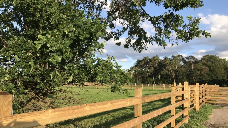 Omgeving - Bed and Breakfast In de Hei