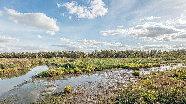 De Biesbosch - A Hotel Oosterhout