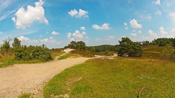 Omgeving - Hotel 2000