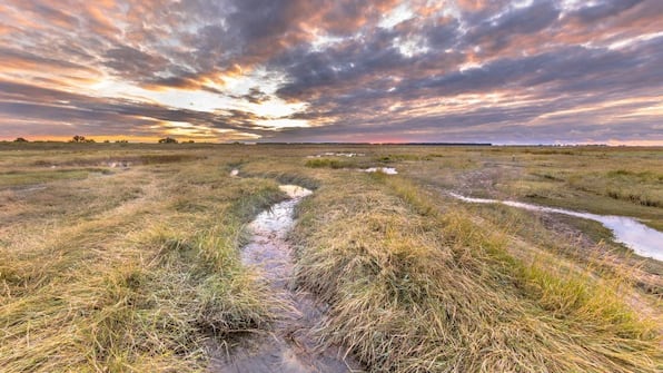 Terneuzen - Hotel Restaurant Dallinga