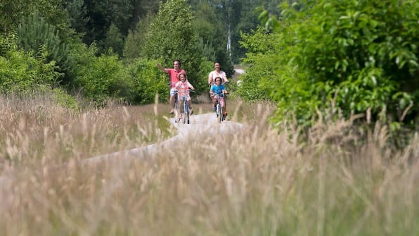 Omgeving - Roompot Bungalowpark Hoenderloo Omgeving - Roompot Bungalowpark Hoenderloo