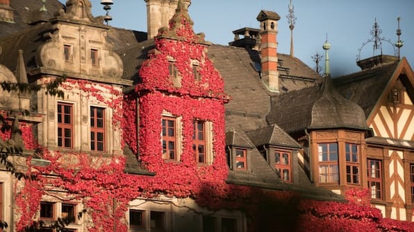 Omgeving - Hotel Birkenhof