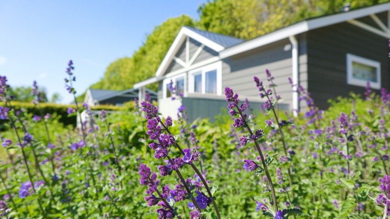Chalet - EuroParcs Bad Meersee