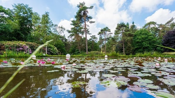 Landgoed Woudschoten