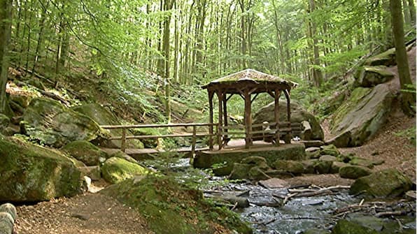 Omgeving - Landgasthof en Hotel Zum Schwan