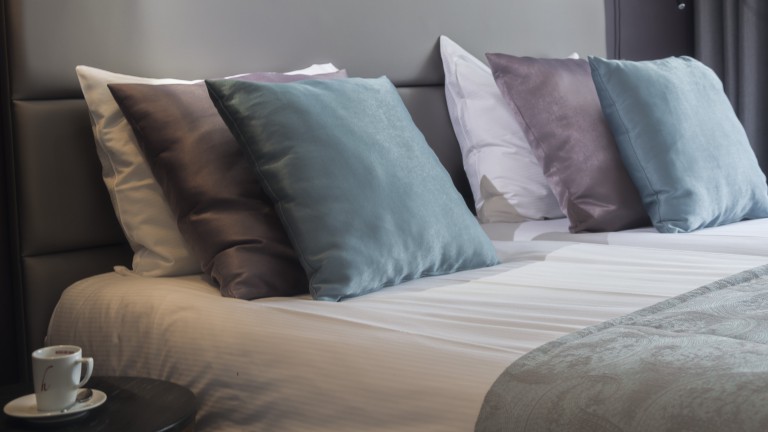 Deluxe kamer met terras - Hotel en Restaurant Wildthout