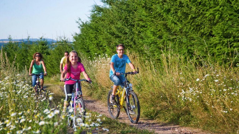 Fietsen - Het Wapen van Alblasserdam