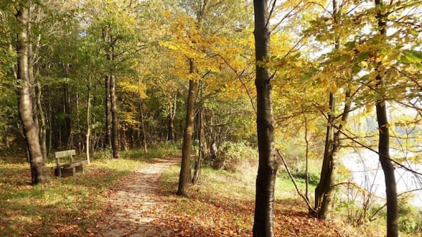 Omgeving - De Valkhoeve