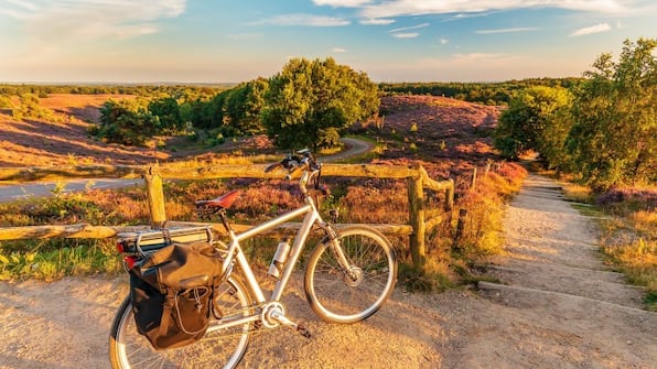 Omgeving - TopParken Bospark Ede Omgeving - TopParken Bospark Ede