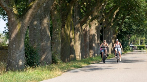 Omgeving - Villapark de Weerribben