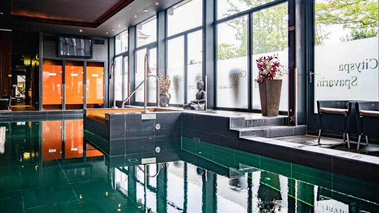 Zwembad - Restaurant Spa en Savarin