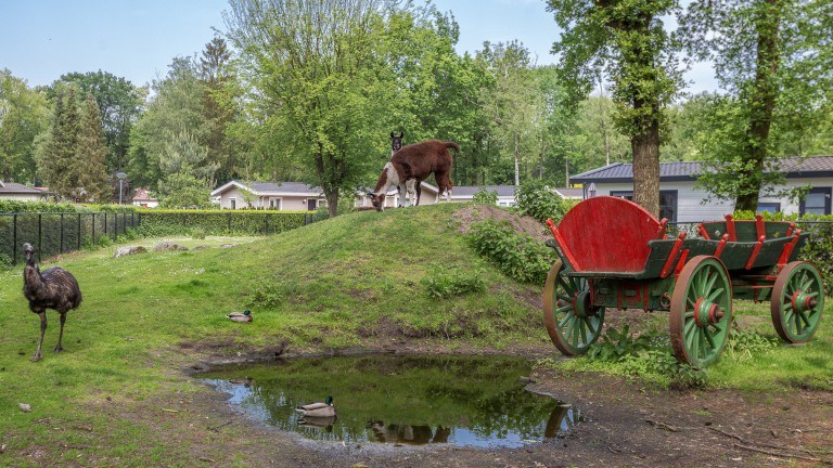 Viehweide - Residence de Eese