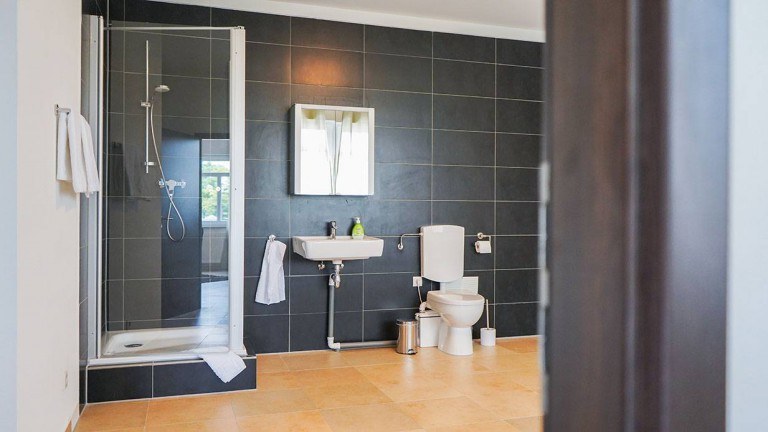 Badkamer - dS Hotel Gronau