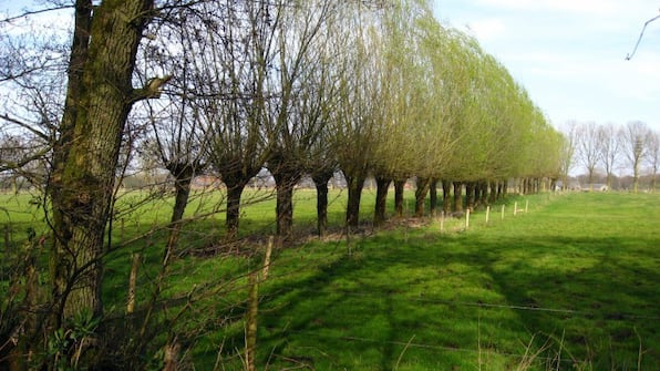 Herberg de Brabantse Klui Natuurgebied De Biezens