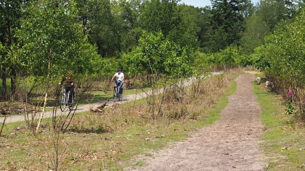 Omgeving - RCN Vakantiepark de Roggeberg Omgeving - RCN Vakantiepark de Roggeberg