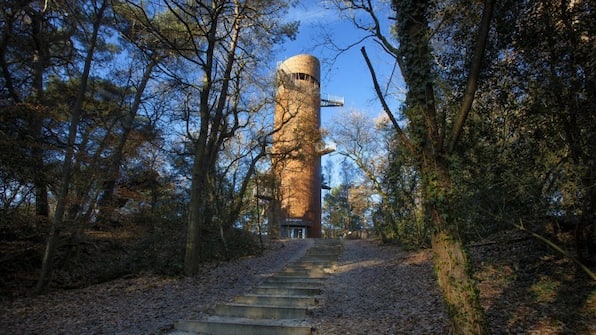 Bosbergtoren - RCN Vakantiepark de Roggeberg