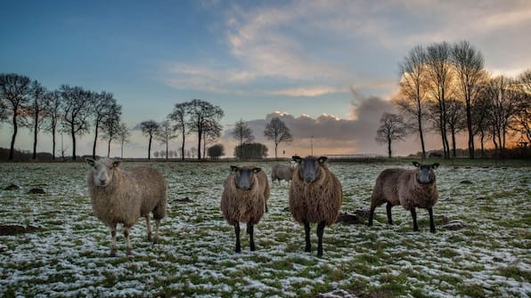 Omgeving - RCN Vakantiepark de Roggeberg Omgeving - RCN Vakantiepark de Roggeberg