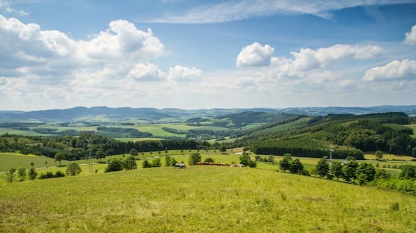 Umgebung
