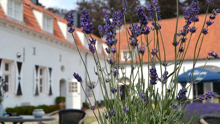 Terras - Kasteel Aldenghoor