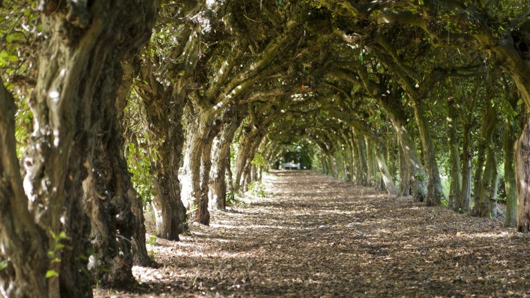Omgeving - Kasteel Aldenghoor