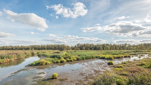 Biesbosch - Hotel t Trefpunt