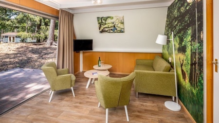 Wohnzimmer - Roompot Bospark t Wolfsven