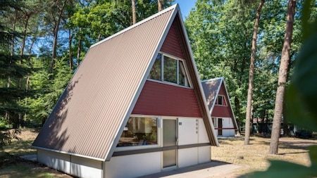 Außenansicht - Roompot Bospark t Wolfsven