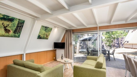Wohnzimmer - Roompot Bospark t Wolfsven
