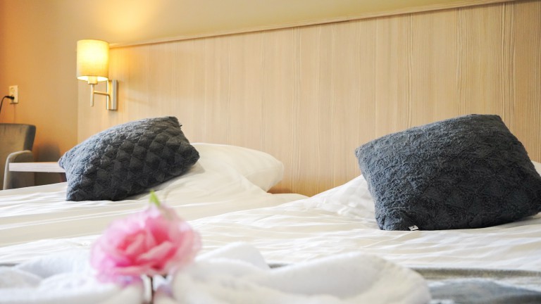 standaard kamer - Hotel Eperland