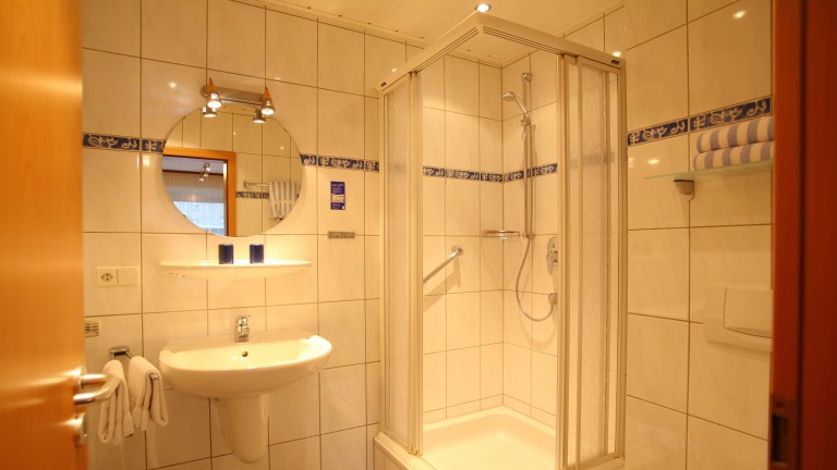 Standaardkamer -Hotel Garni Moselterrasse