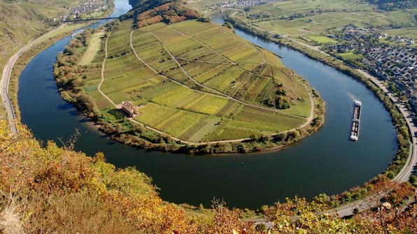 Omgeving - Hotel Garni Moselterrasse