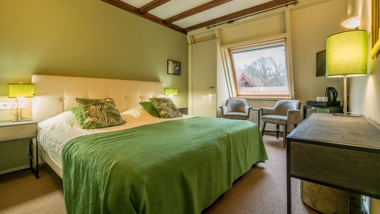 Standaardkamer - Hampshire Hotel - Hostellerie Schuddebeurs