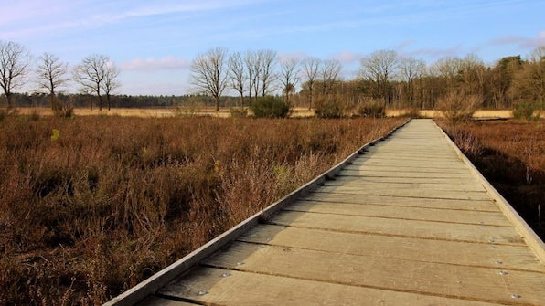 Mastbos - Hotel Mastbosch Breda