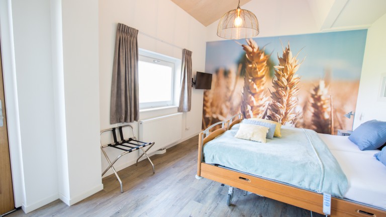 Standardzimmer - Mossems