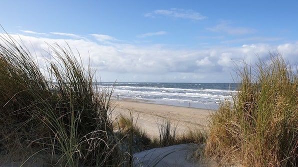Umwelt - Van der Valk Texel - de Koog