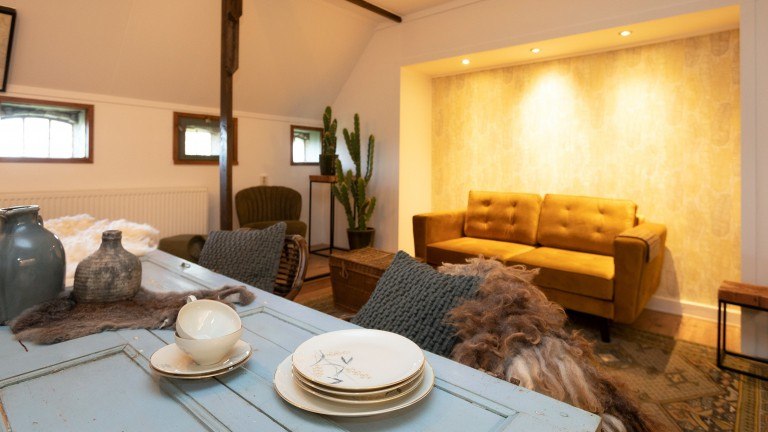 Buizerd - Logement Doosje