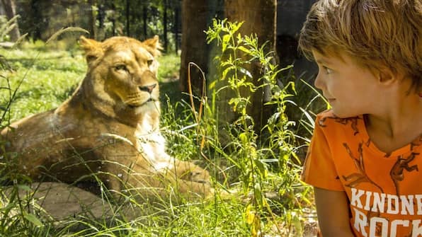 Dierenpark Amersfoort - Hotel Ernst Sillem Hoeve