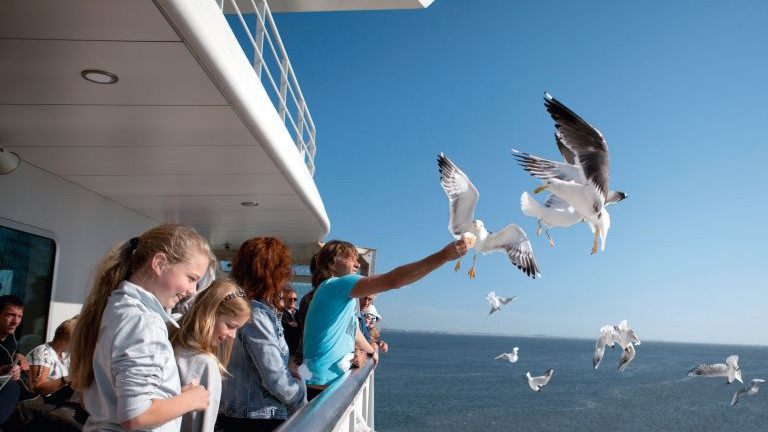 Boot naar Texel - Landal Appartementencomplex Bosch en Zee