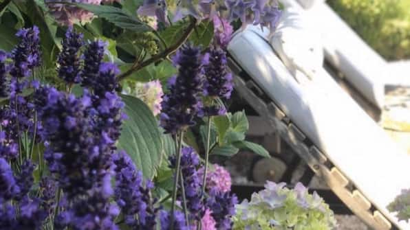 Tuin - Bed and Breakfast De Roos