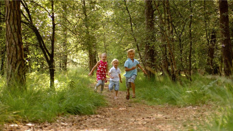 Umwelt - Landal Vakantiepark Bos en Duin