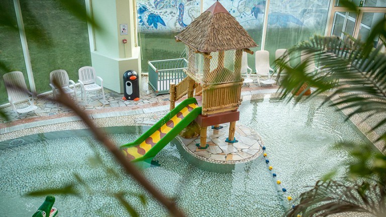 Zwembad - Center Parcs Park de Haan