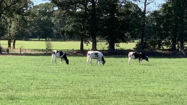 Umwelt - Vodatent Camping Dal van de Mosbeek